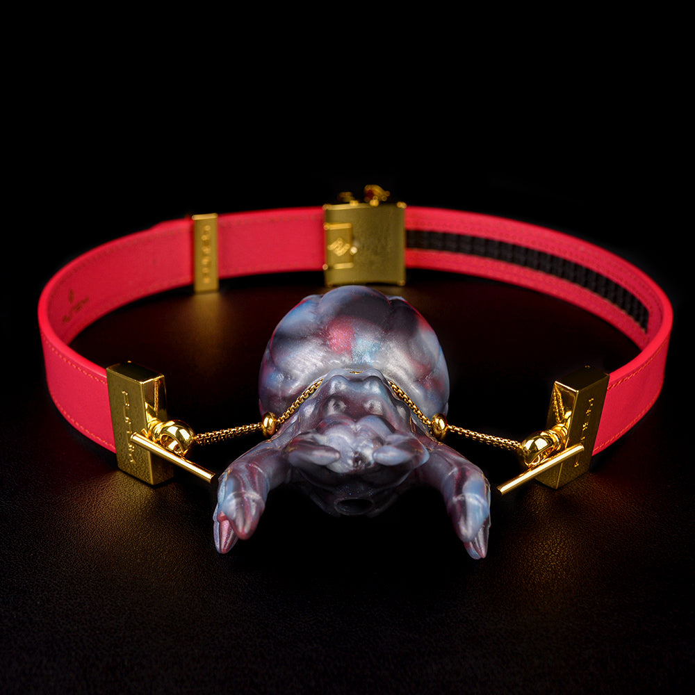 Spider Arthropod Ball Gag Set - Premium BDSM Mundknebel | Spinne Lederband Gold Geschenkbox SilikonLust