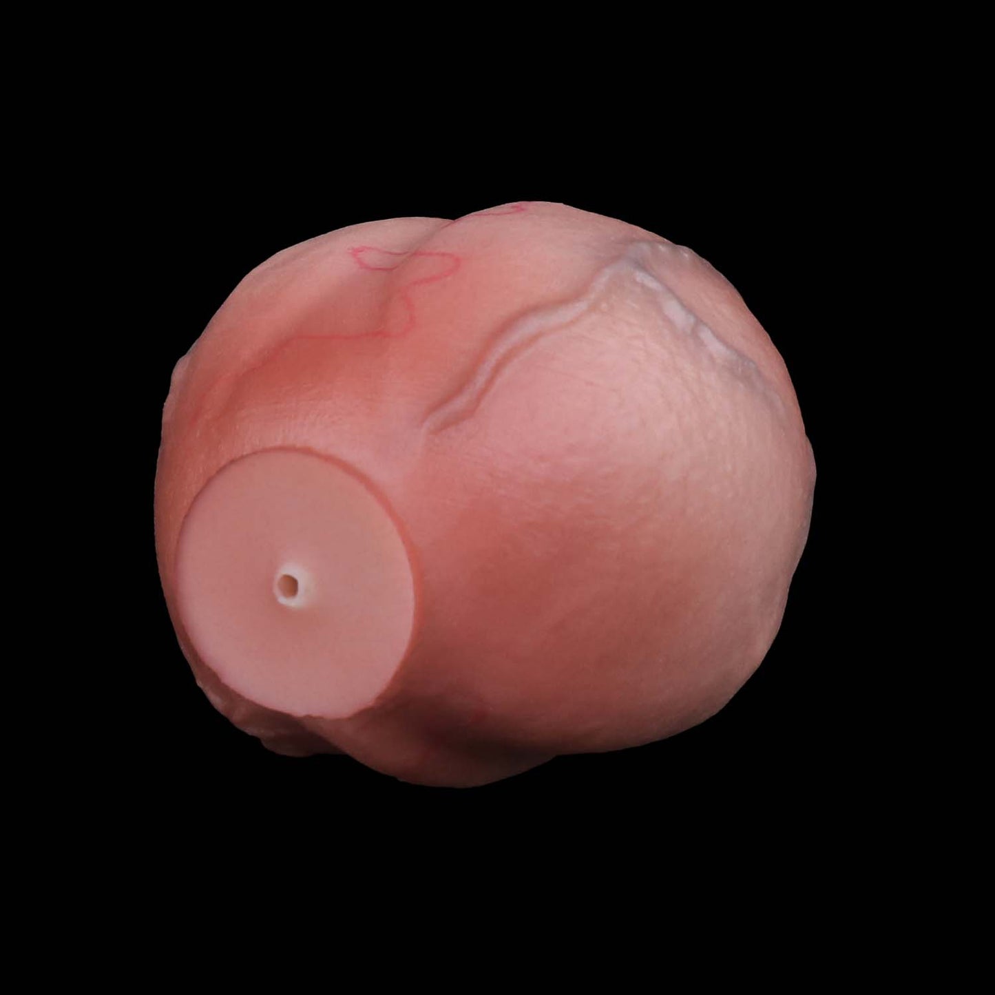 Realistischer Butt Plug in Penisform – Hodenhaut-Textur, Venenrelief & Abnehmbare Stahlkette aus Platin-Silikon (S/L)