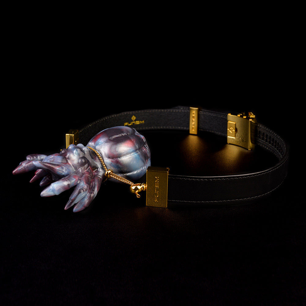 Spider Arthropod Ball Gag Set - Premium BDSM Mundknebel | Spinne Lederband Gold Geschenkbox SilikonLust