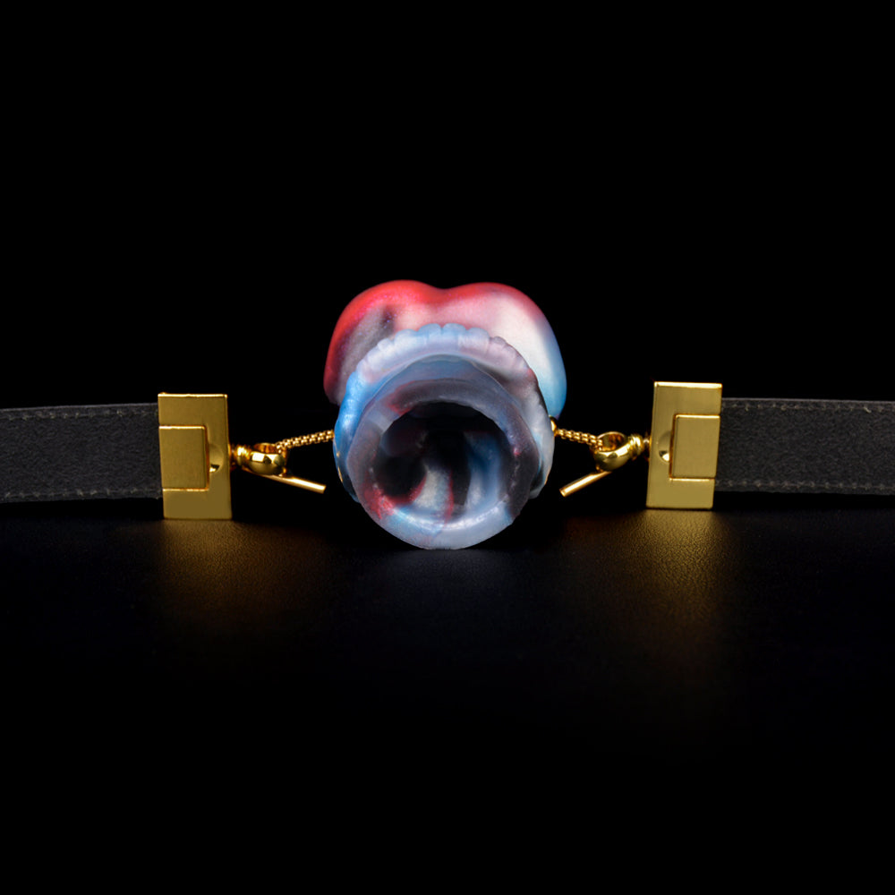 Optical Illusion Gag | Platinum Silicone Optical Illusion Mouth Gag with Mushroom Smile Dual Perspective, Leather Headband & Luxury Gift Box – NNSX