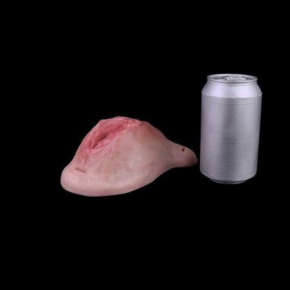 Realistische Silikon-Pussy-Panties – Tragbare Vagina-Prothese für Trans-Frauen & Femboys