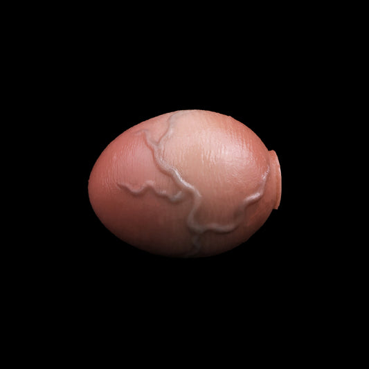 Butt Plug kaufen – Realistische Hautoptik mit Venenstruktur & Edelstahlkette für individuelle Erlebnisse