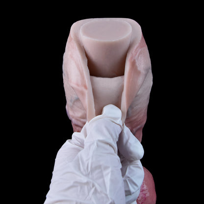 Premium Real Touch Dildo made of Platinum Liquid Silicone - Dual Layer Design for natural anatomy & comfort